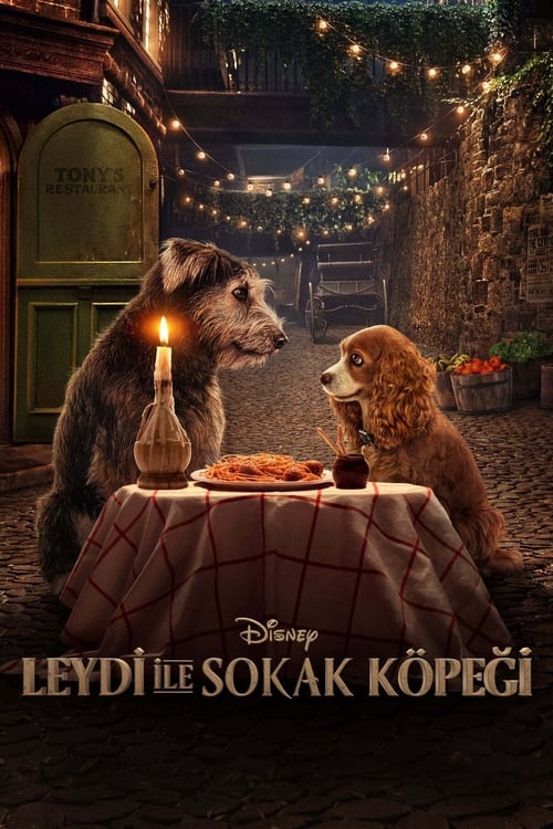 Lady ile Sokak Köpeği