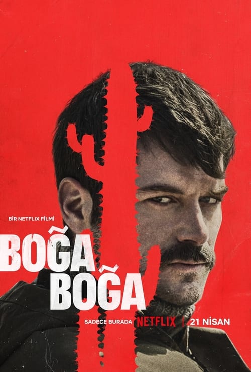 Boğa Boğa