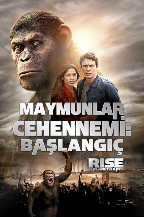 Maymunlar Cehennemi: Başlangıç