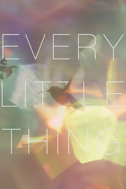 Every Little Thing