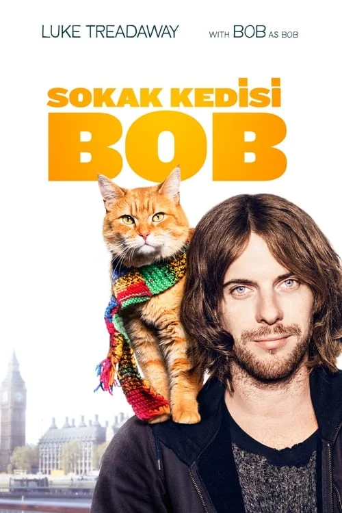 Sokak Kedisi Bob