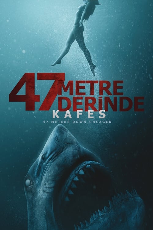 47 Metre Derinde: Kafes