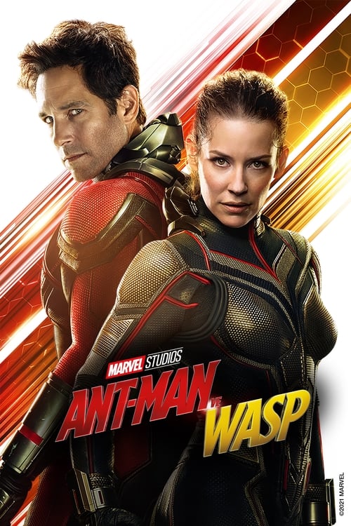 Ant-Man ve Wasp